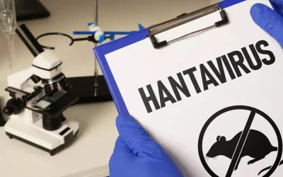 Cos’è l’hantavirus? Sintomi, contagio e cosa sapere sul virus dei roditori