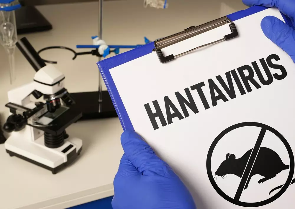 Approfondimento su hantavirus, sintomi, contagio e prevenzione del virus trasmesso dai roditori